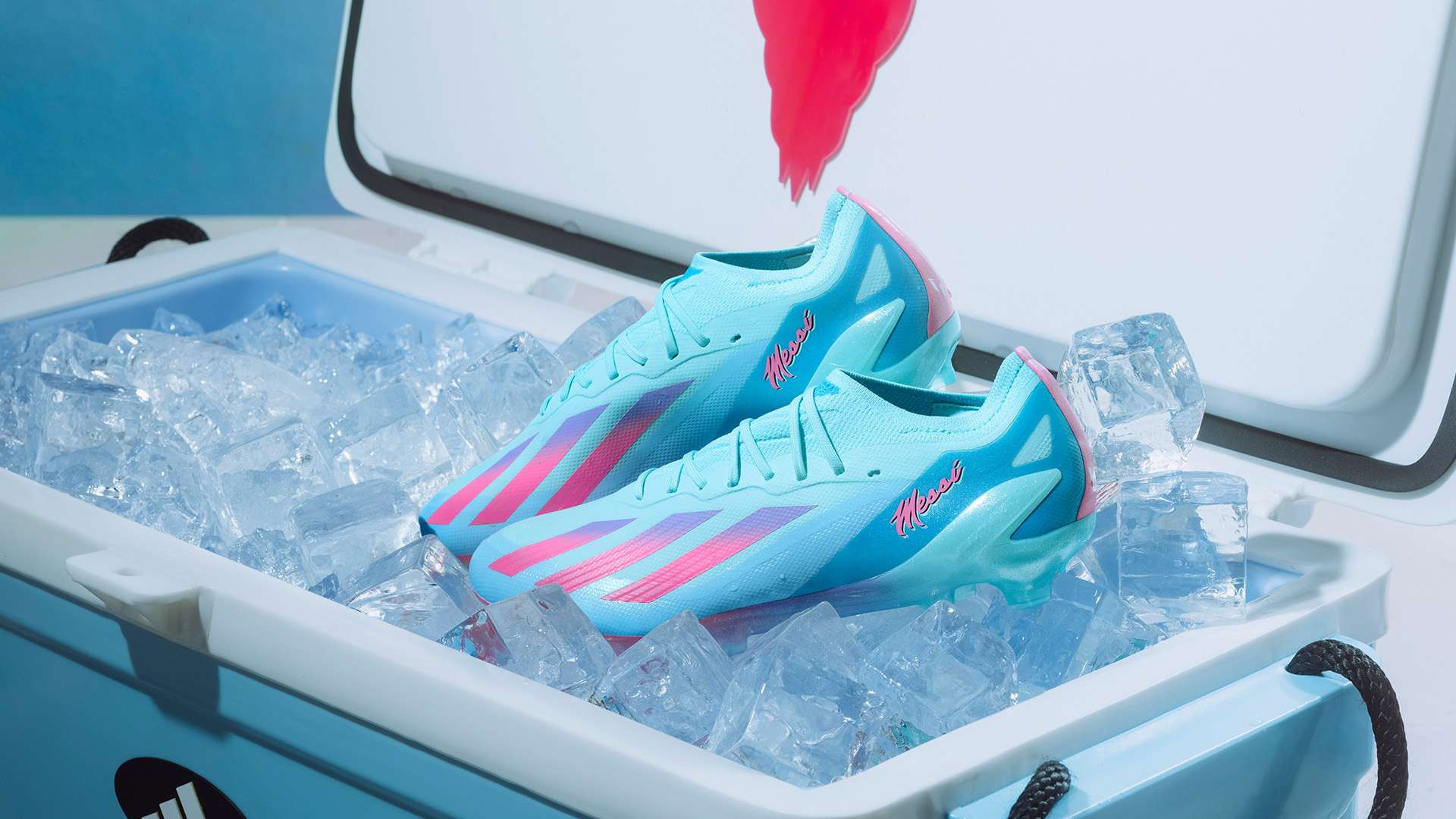 我们将探讨 我们将探讨