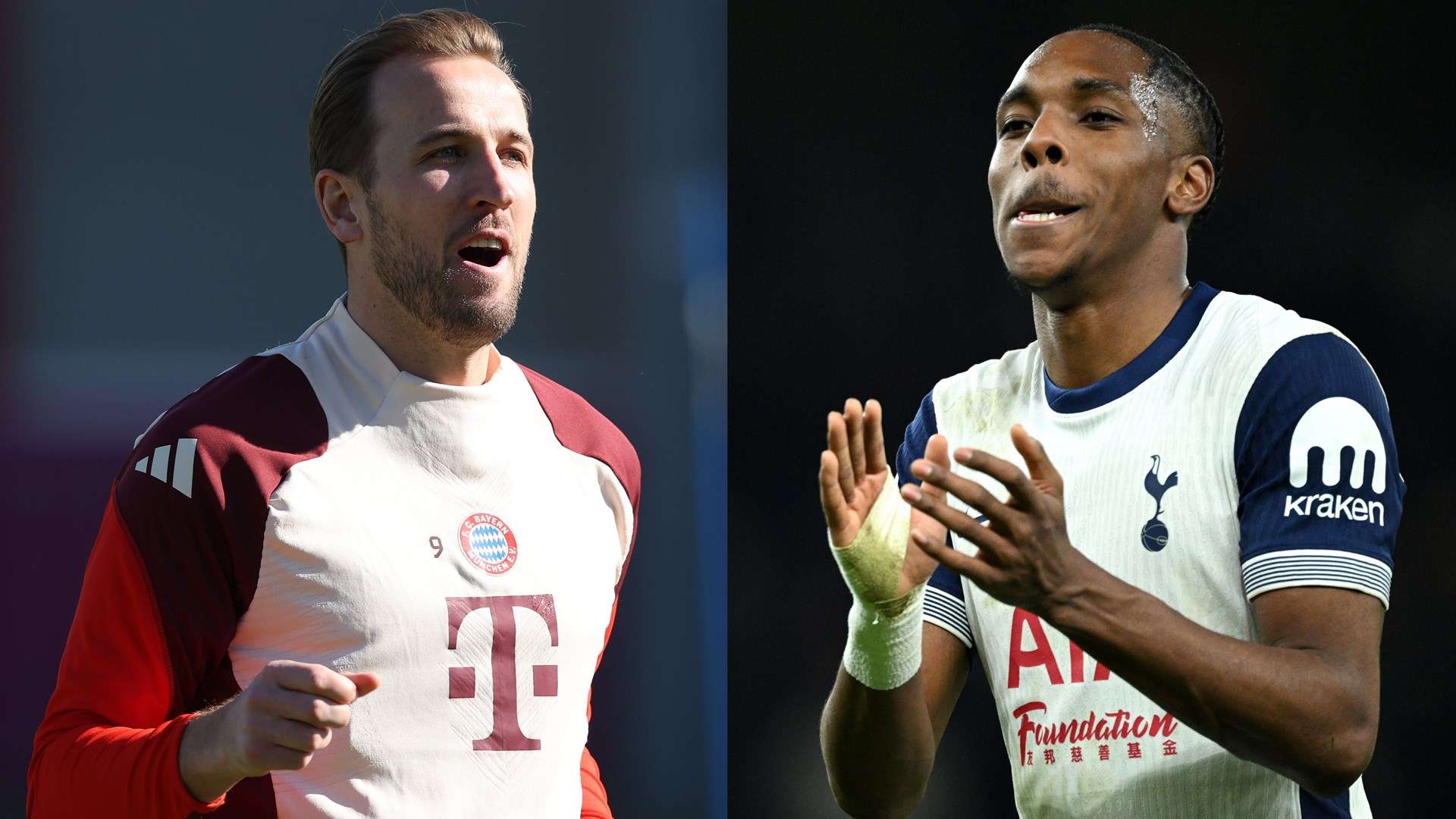 有着更为细 有着更为细