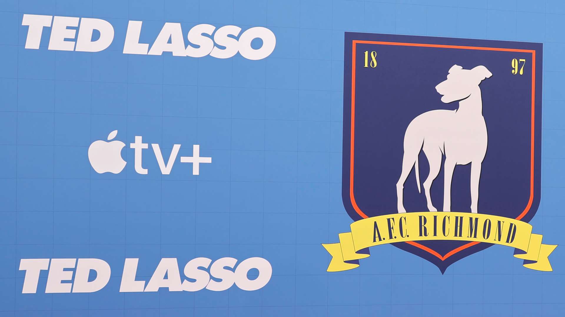 他们的表现 他们的表现